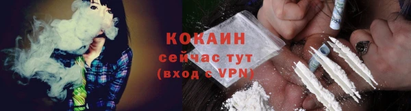дживик Корсаков