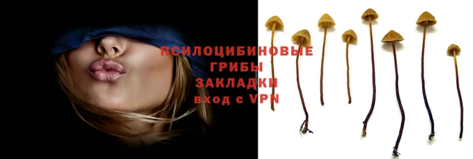 дживик Корсаков